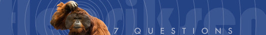7-questions