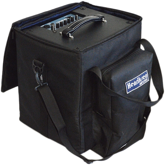 Bud/Blu TEN Carry Case